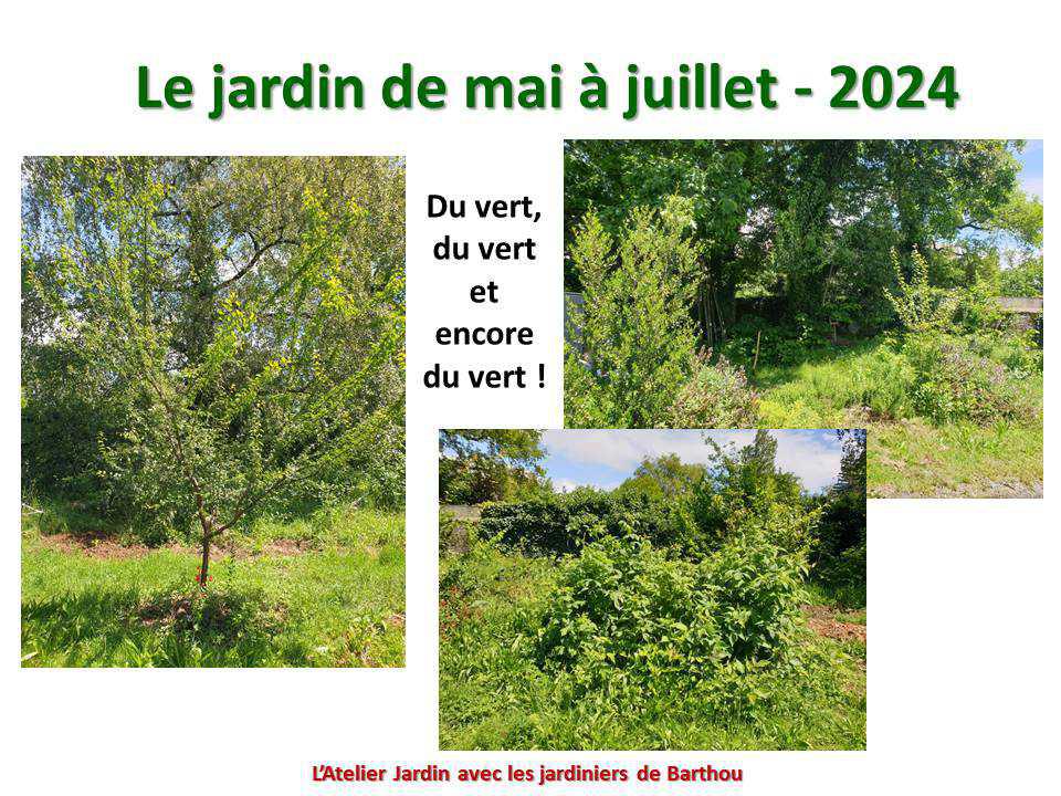 Un petit tour au jardin du lycée : le jardin de mai à juillet 2024