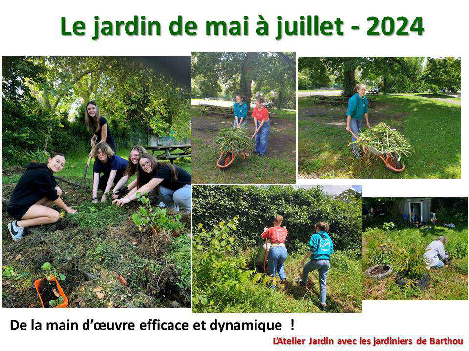 Un petit tour au jardin du lycée : le jardin de mai à juillet 2024