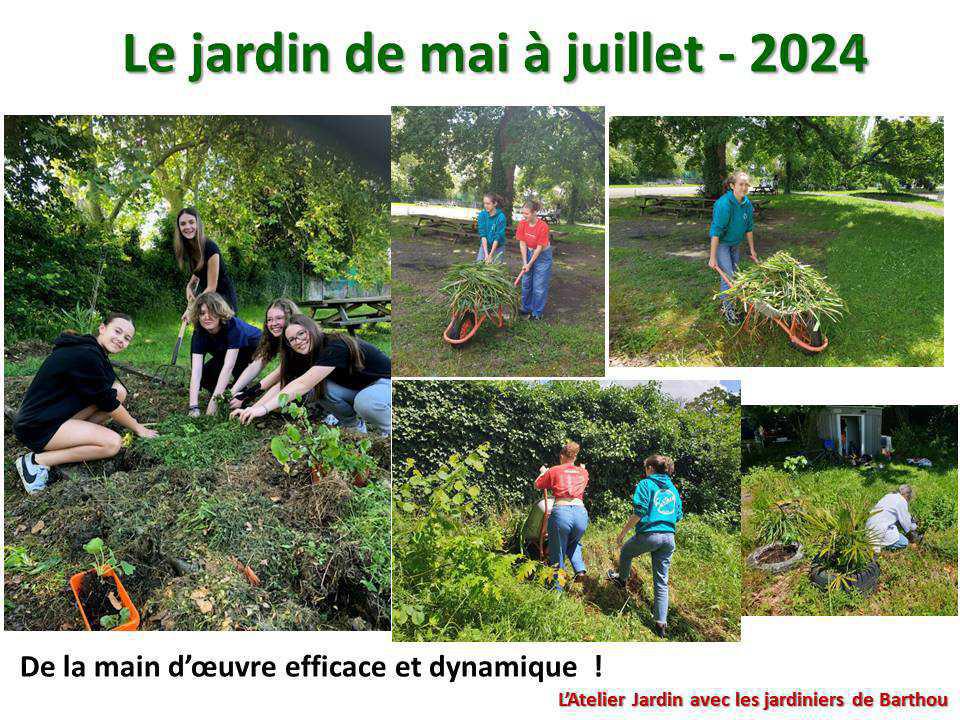 Un petit tour au jardin du lycée : le jardin de mai à juillet 2024 Un petit tour au jardin du lycée : le jardin de mai à juillet 2024