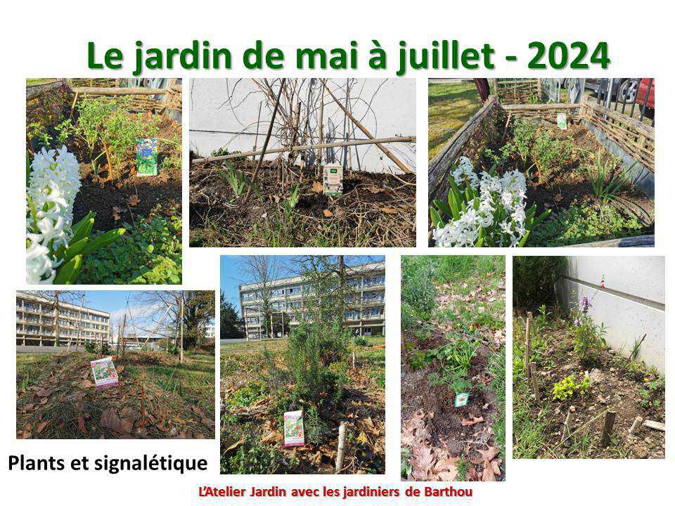 Un petit tour au jardin du lycée : le jardin de mai à juillet 2024