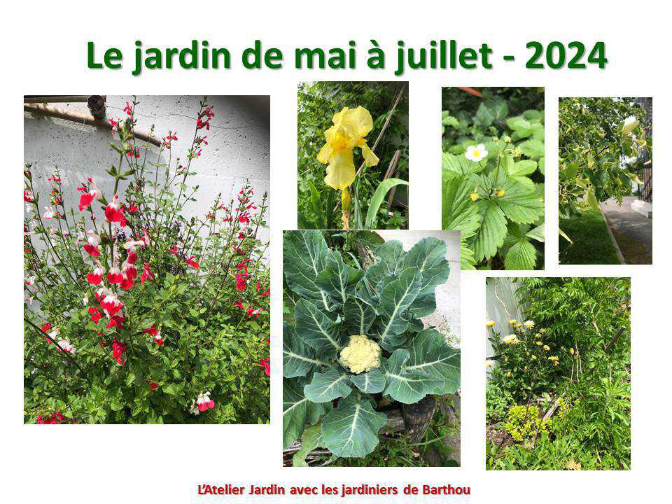 Un petit tour au jardin du lycée : le jardin de mai à juillet 2024