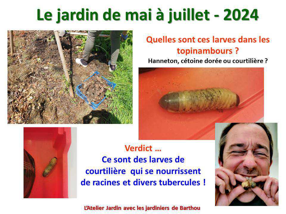 Un petit tour au jardin du lycée : le jardin de mai à juillet 2024