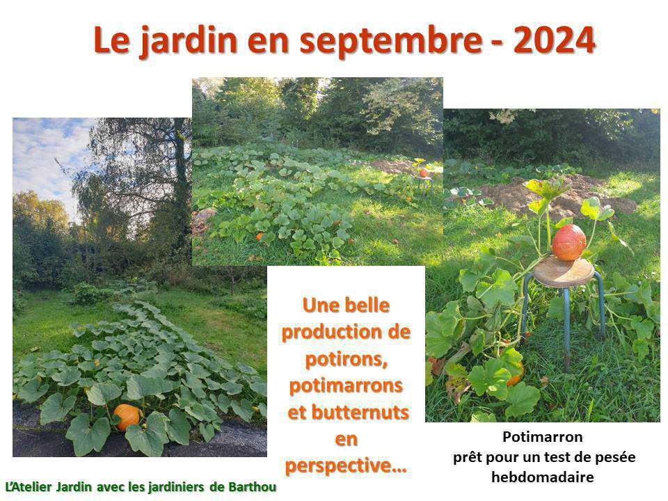 Un petit tour au jardin du lycée : le jardin de septembre - 2024