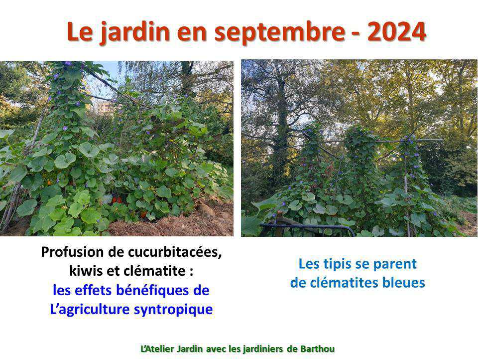 Un petit tour au jardin du lycée : le jardin de septembre - 2024