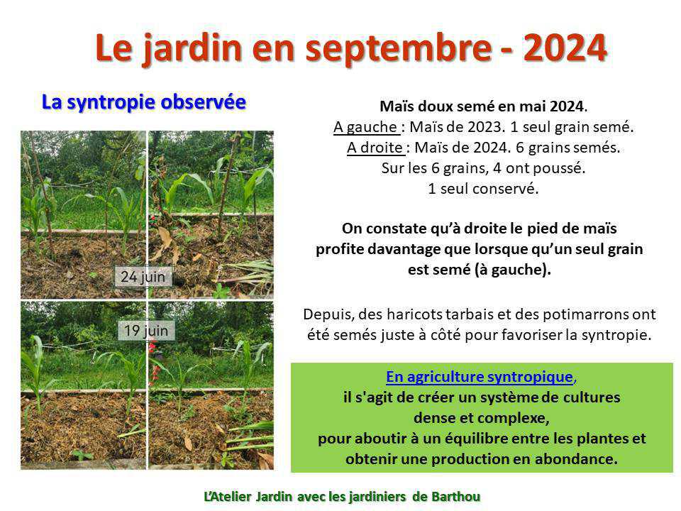 Un petit tour au jardin du lycée : le jardin de septembre - 2024