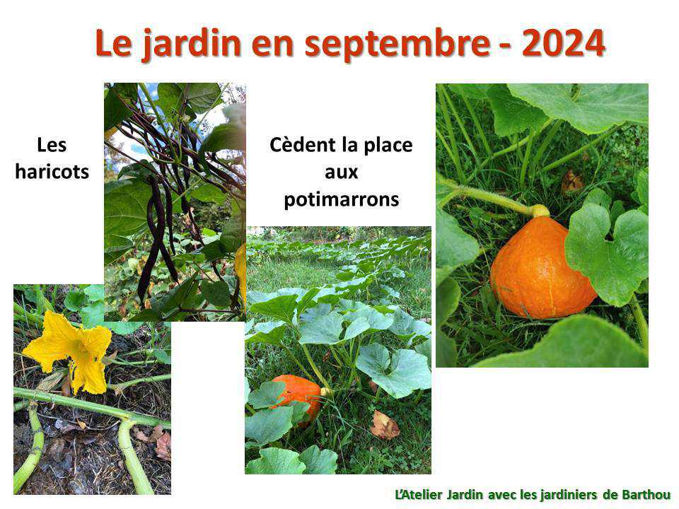 Un petit tour au jardin du lycée : le jardin de septembre - 2024