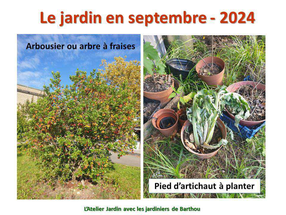 Un petit tour au jardin du lycée : le jardin de septembre - 2024