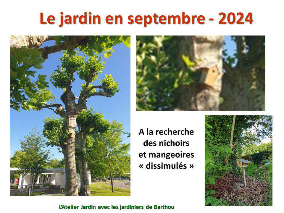 Un petit tour au jardin du lycée : le jardin de septembre - 2024