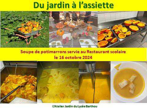 Du jardin à l'assiette