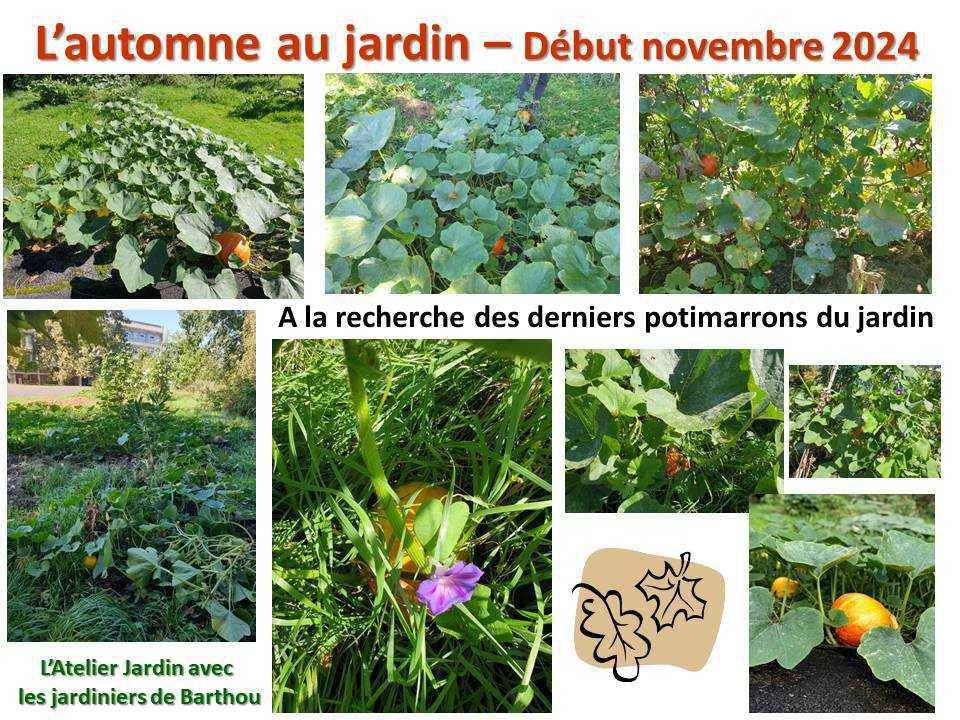 L'automne au jardin L'automne au jardin