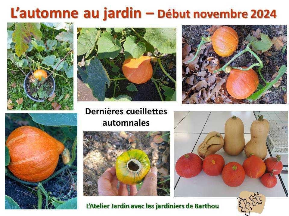 L'automne au jardin L'automne au jardin