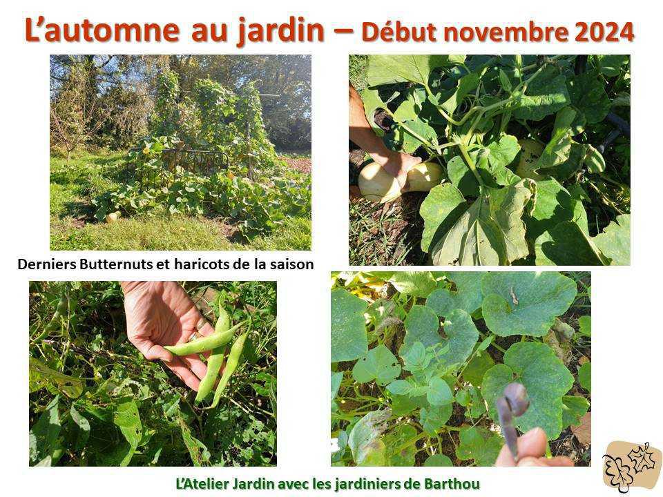 L'automne au jardin L'automne au jardin