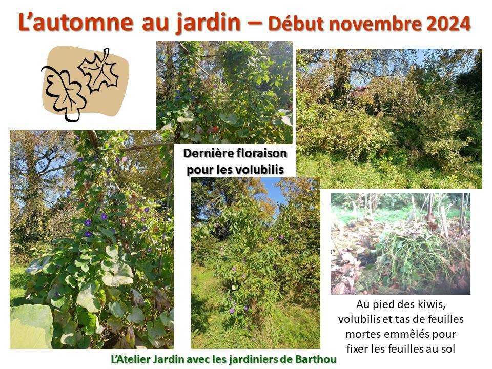 L'automne au jardin