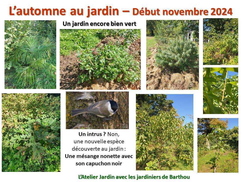 L'automne au jardin L'automne au jardin
