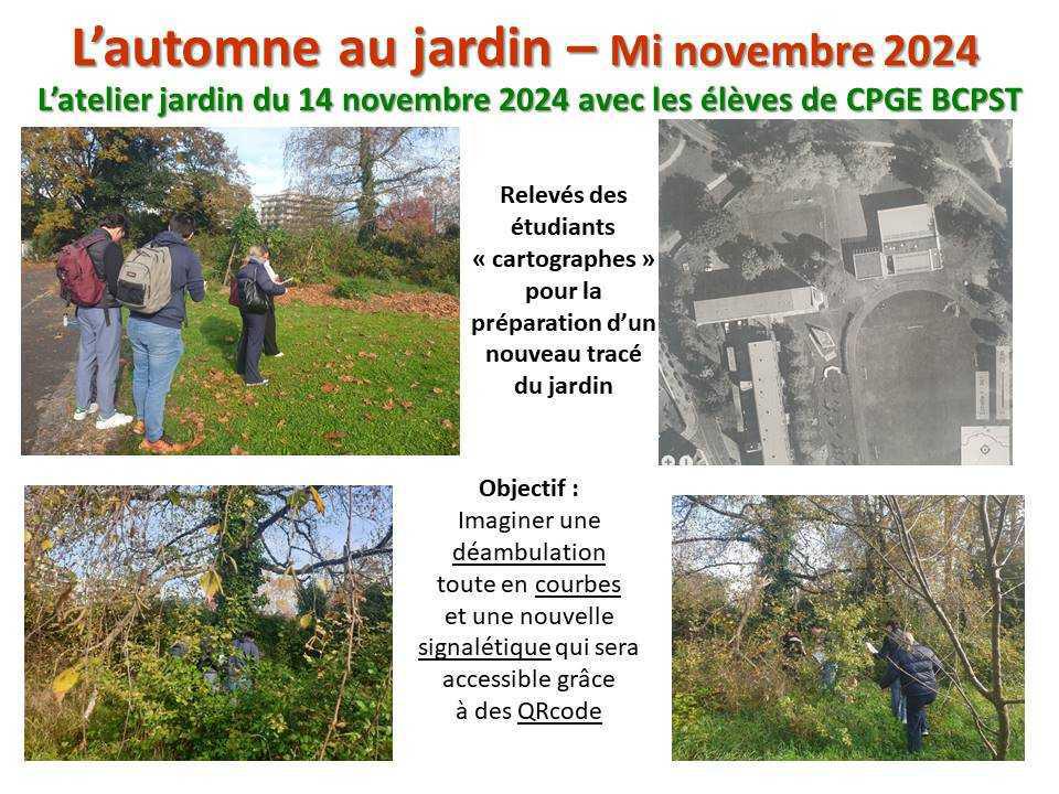 L'automne au jardin L'automne au jardin