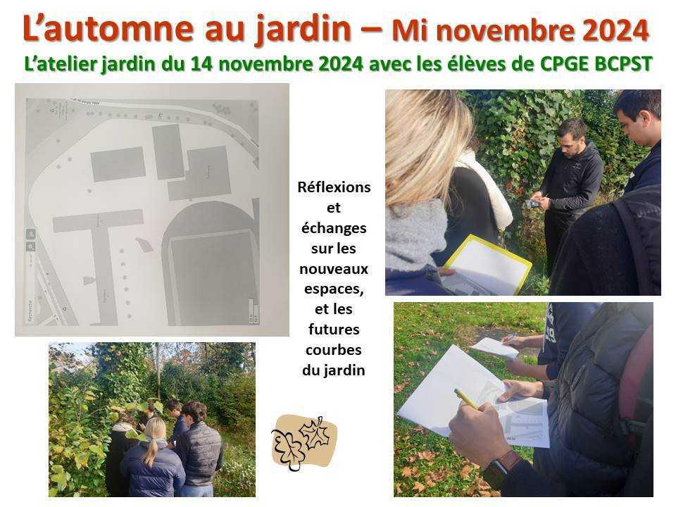 L'automne au jardin L'automne au jardin