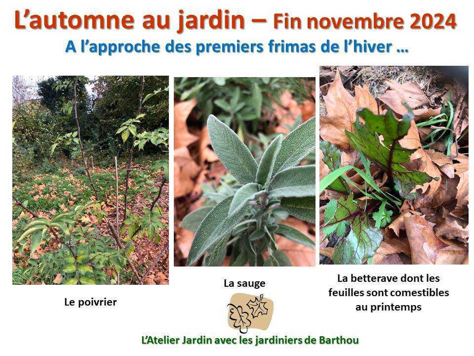 L'automne au jardin L'automne au jardin