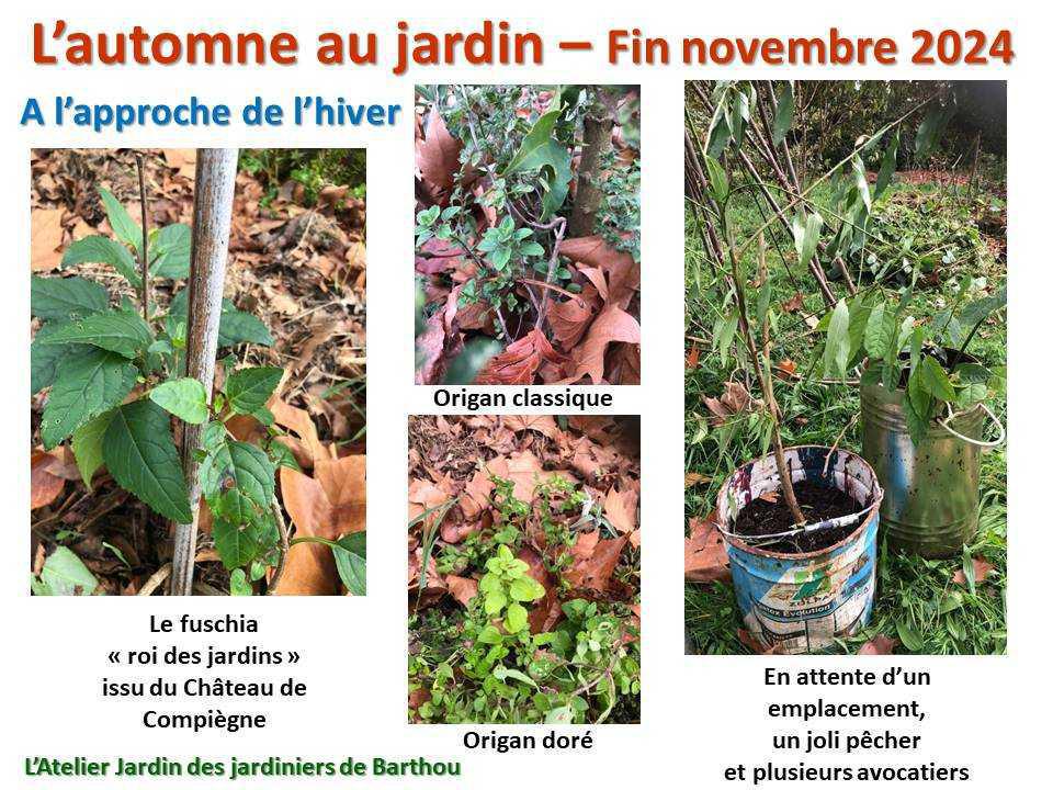 L'automne au jardin L'automne au jardin