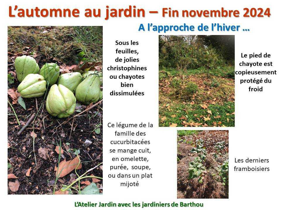 L'automne au jardin