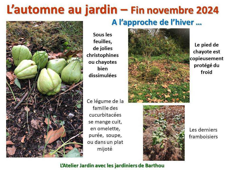L'automne au jardin L'automne au jardin