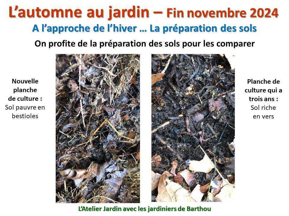 L'automne au jardin L'automne au jardin