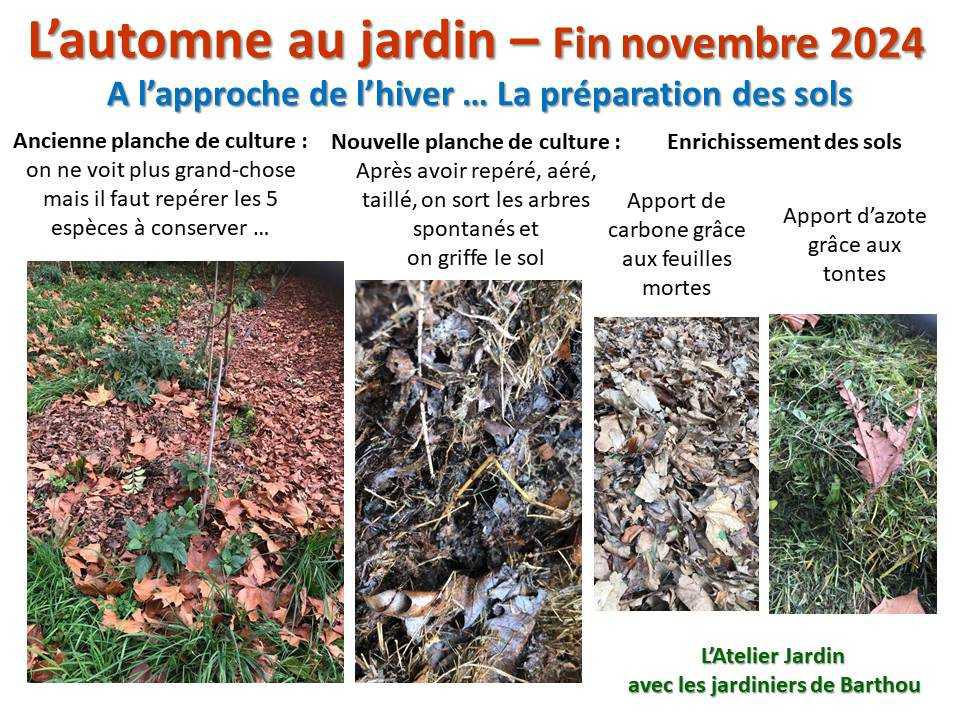 L'automne au jardin