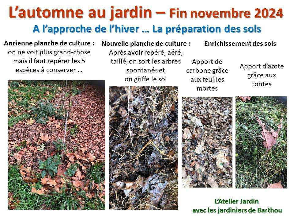 L'automne au jardin L'automne au jardin