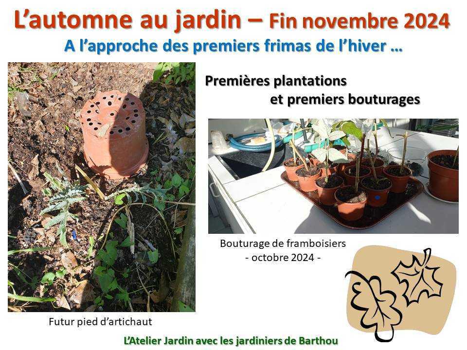 L'automne au jardin L'automne au jardin