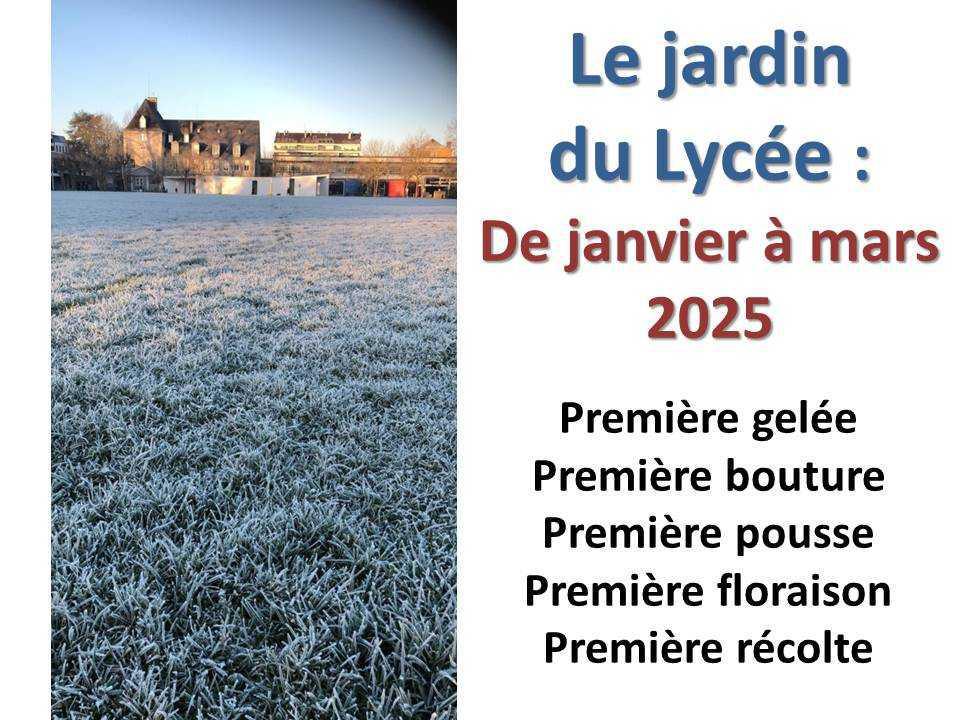 Le jardin du lycée de janvier à mars 2025