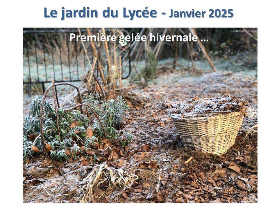 Le jardin du lycée de janvier à mars 2025