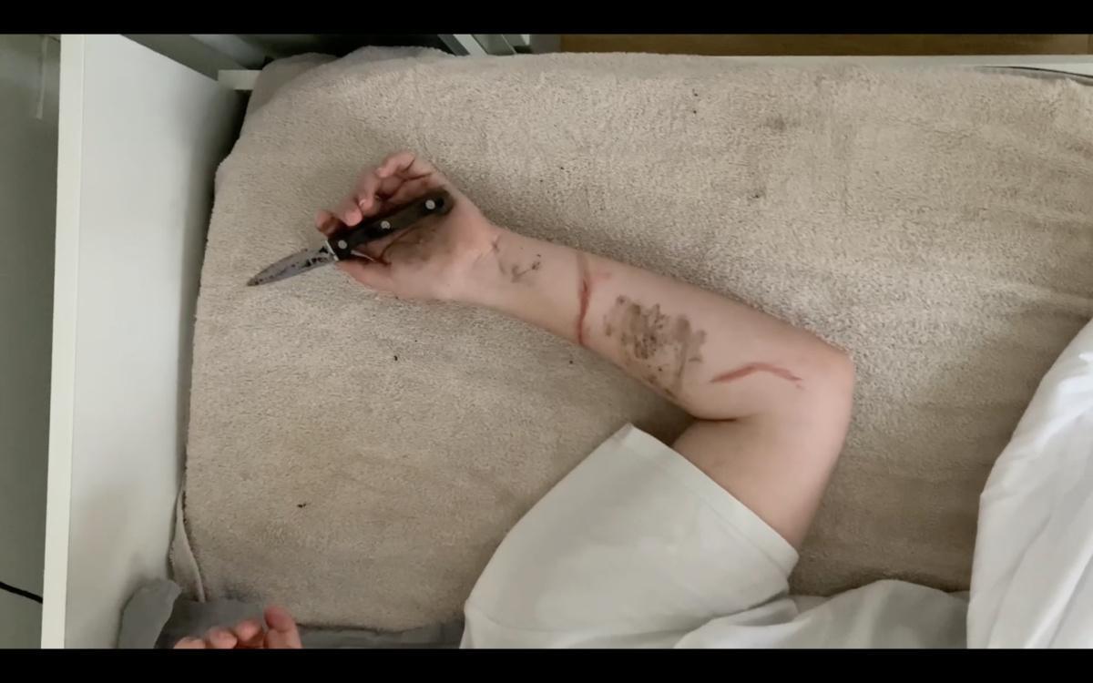 BLEU SANG - Voyage dans la genèse d'un tableau BLEU SANG - Voyage dans la genèse d'un tableau