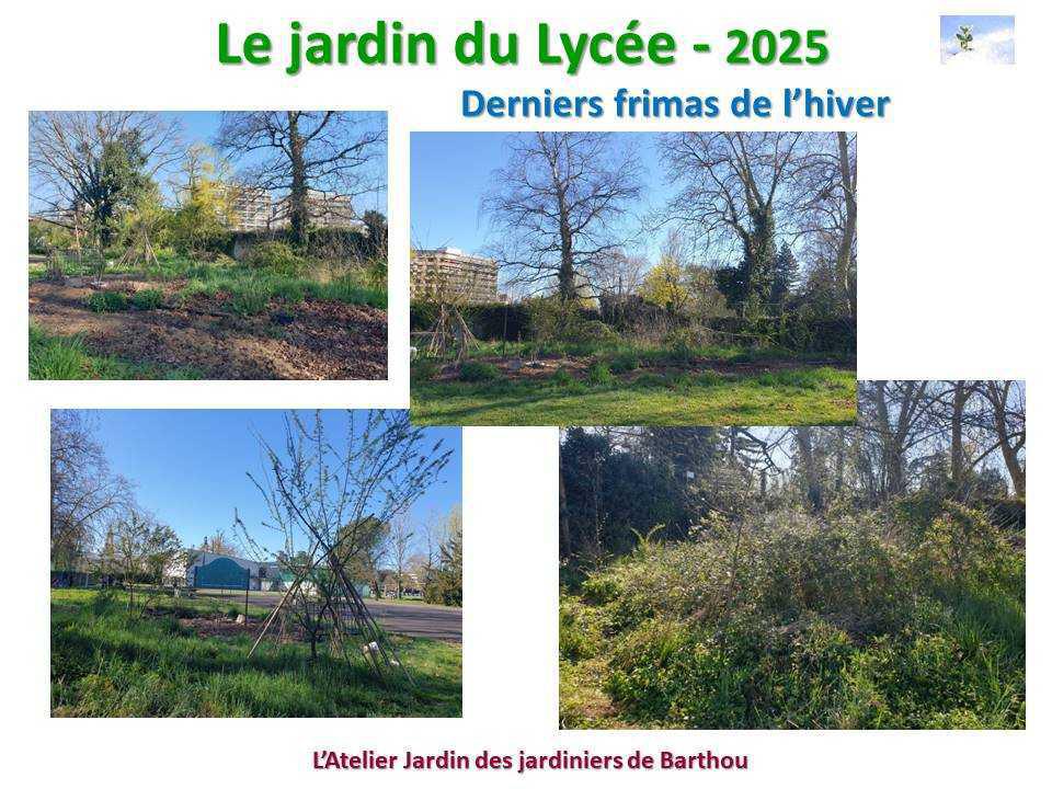 Un petit tour au jardin du lycée en 2025