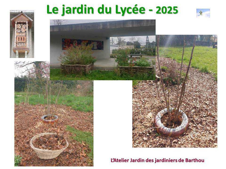 Un petit tour au jardin du lycée en 2025 Un petit tour au jardin du lycée en 2025