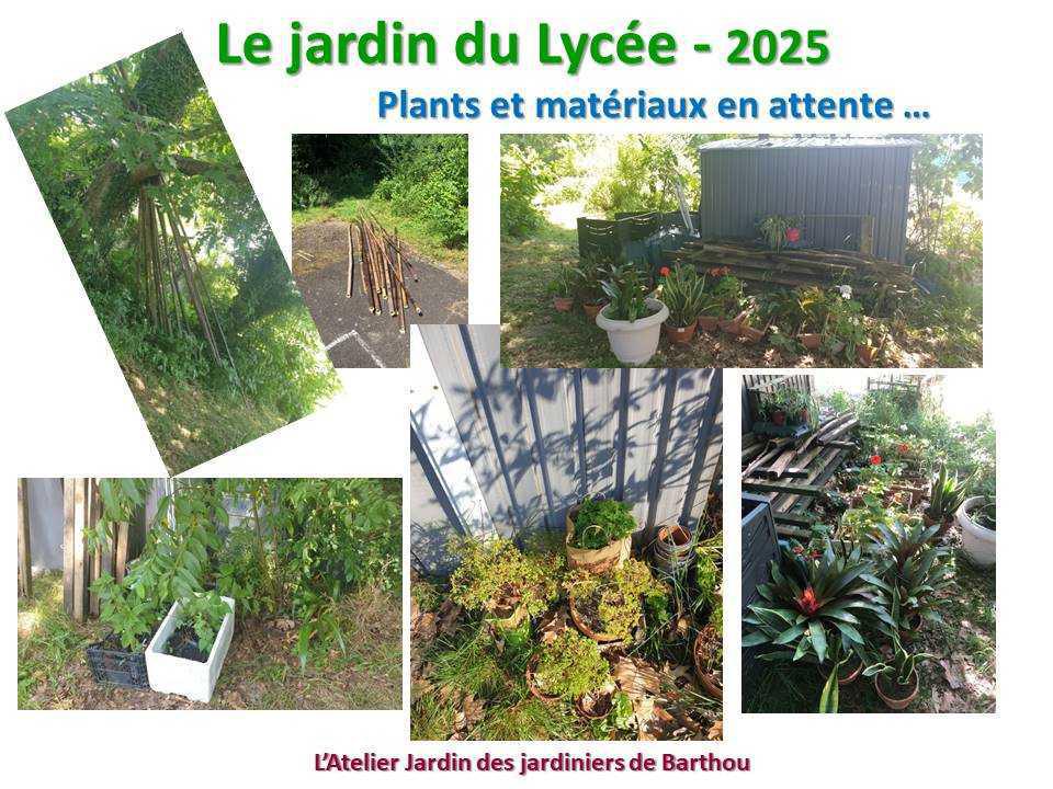 Un petit tour au jardin du lycée en 2025 Un petit tour au jardin du lycée en 2025