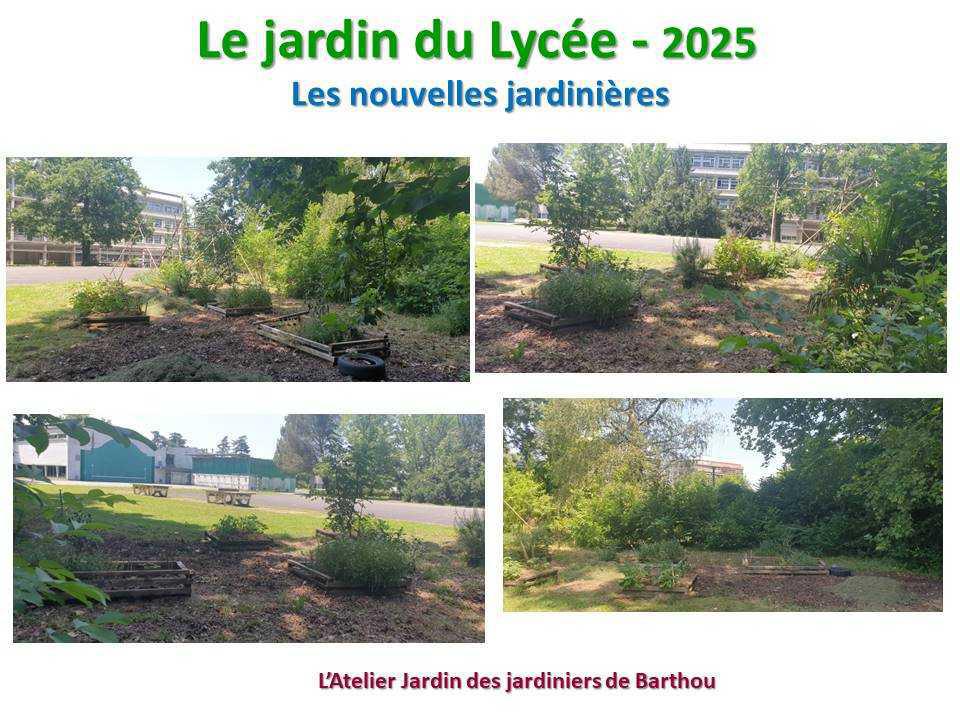 Un petit tour au jardin du lycée en 2025 Un petit tour au jardin du lycée en 2025