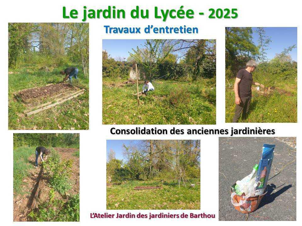 Un petit tour au jardin du lycée en 2025 Un petit tour au jardin du lycée en 2025