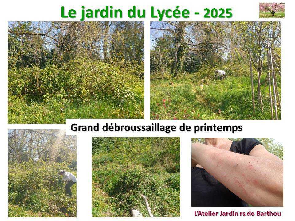 Un petit tour au jardin du lycée en 2025 Un petit tour au jardin du lycée en 2025