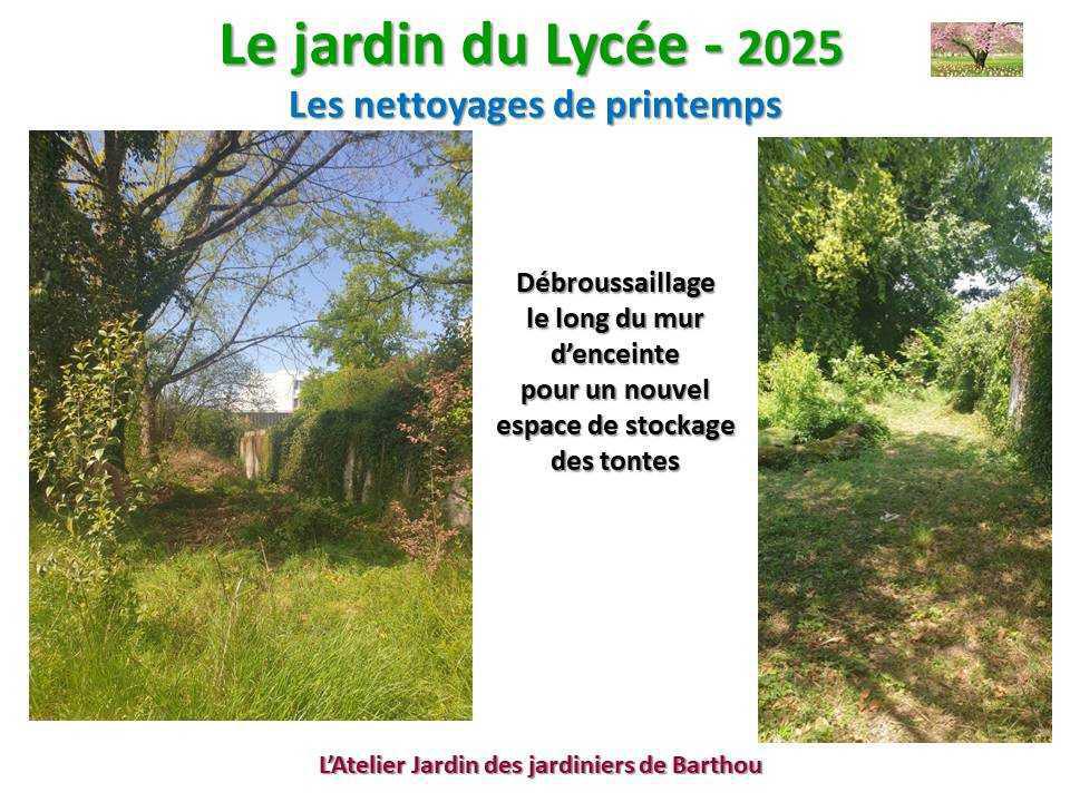 Un petit tour au jardin du lycée en 2025 Un petit tour au jardin du lycée en 2025