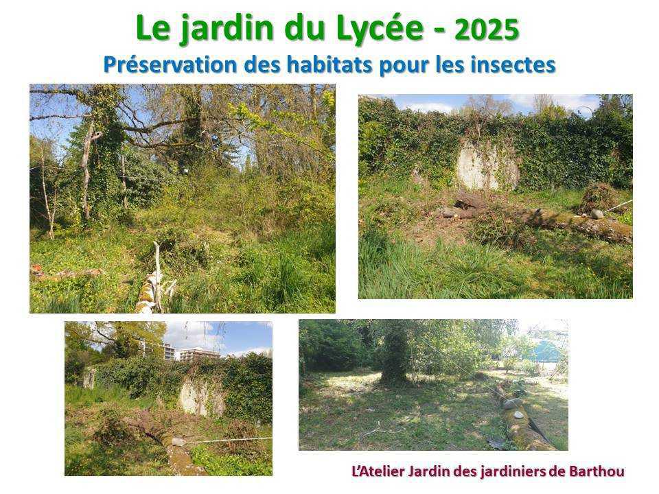 Un petit tour au jardin du lycée en 2025 Un petit tour au jardin du lycée en 2025