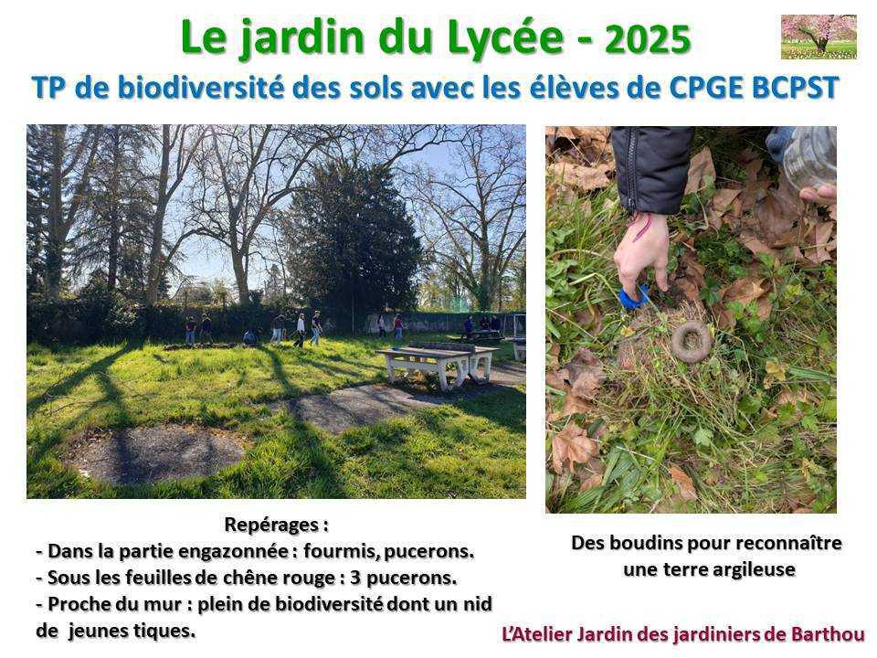 Un petit tour au jardin du lycée en 2025