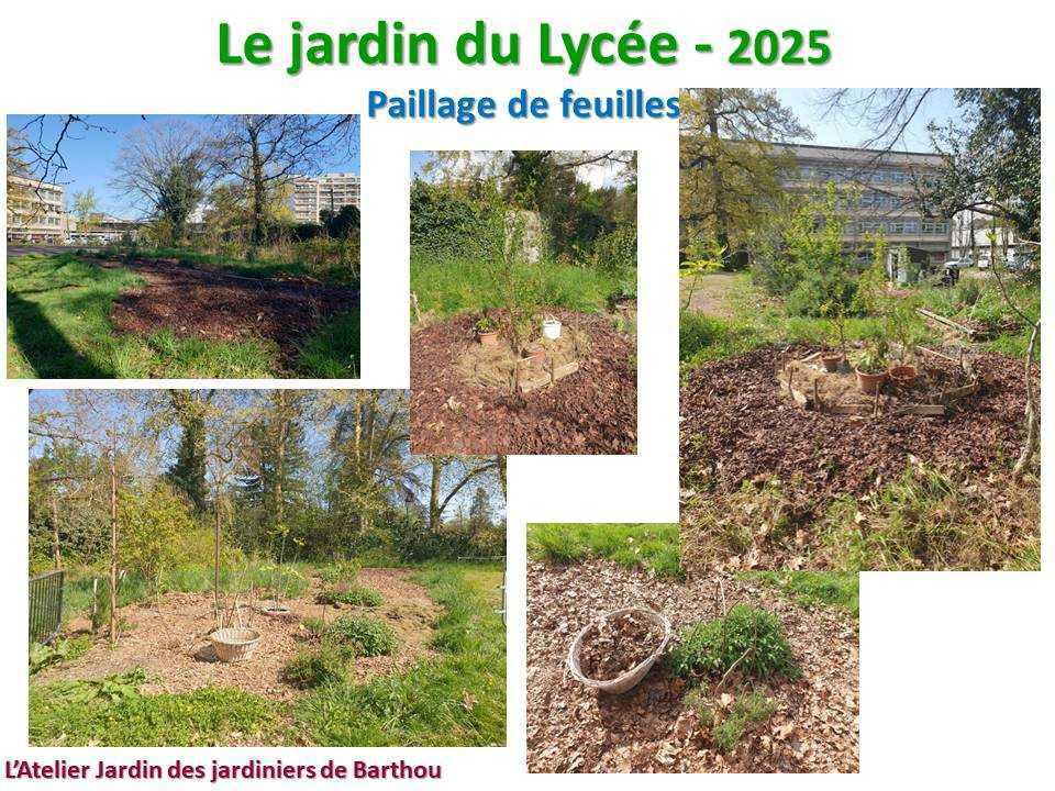 Un petit tour au jardin du lycée en 2025 Un petit tour au jardin du lycée en 2025