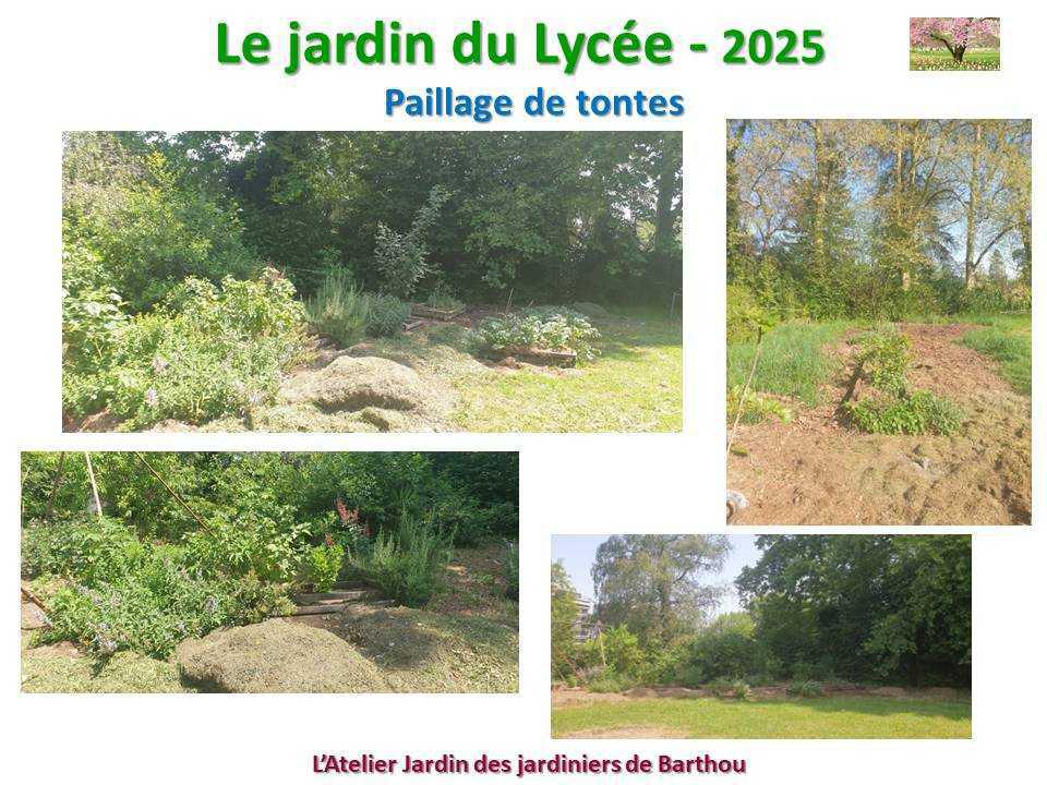 Un petit tour au jardin du lycée en 2025