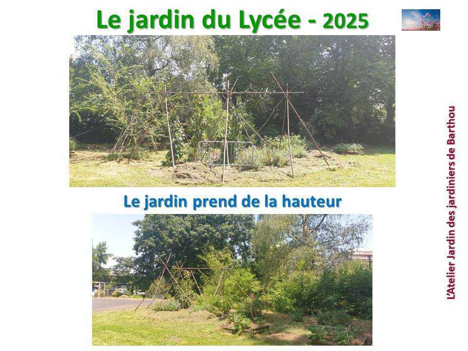 Un petit tour au jardin du lycée en 2025