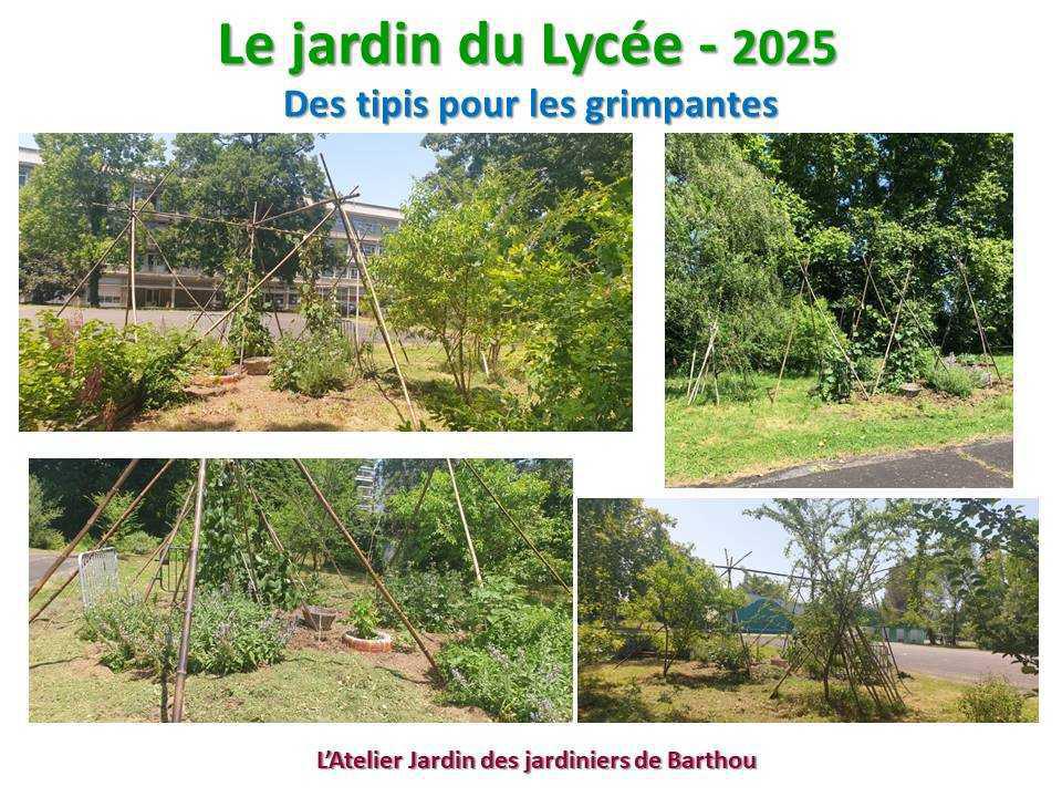 Un petit tour au jardin du lycée en 2025 Un petit tour au jardin du lycée en 2025