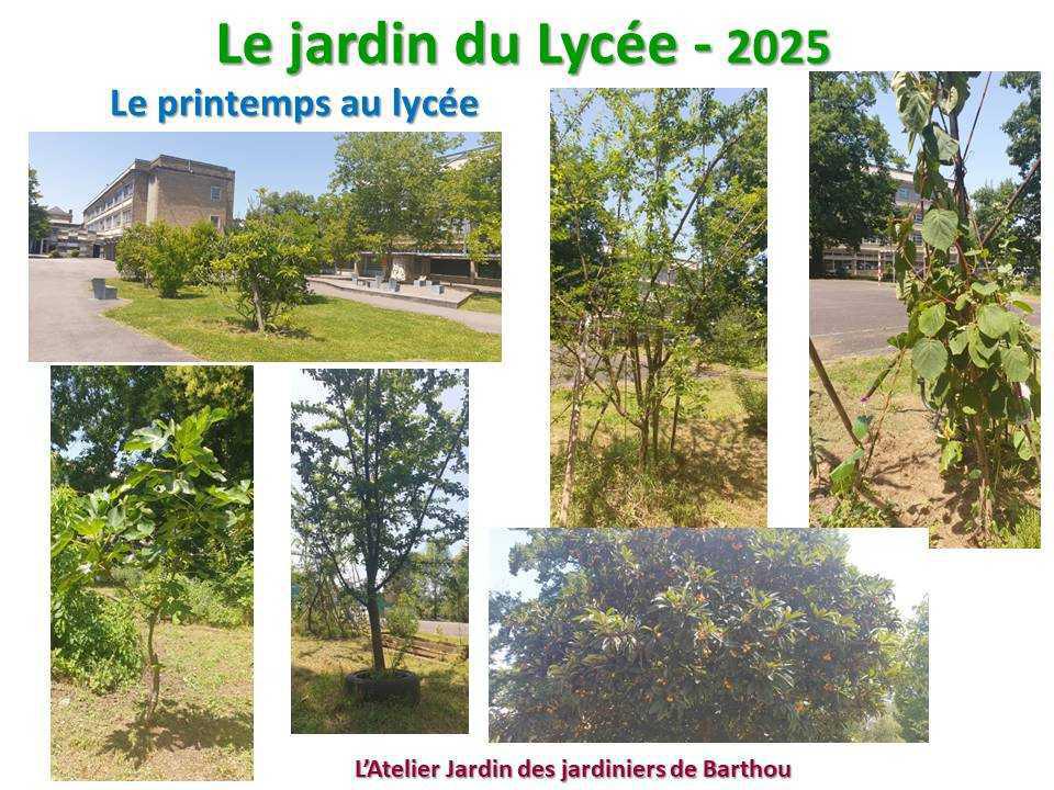 Un petit tour au jardin du lycée en 2025