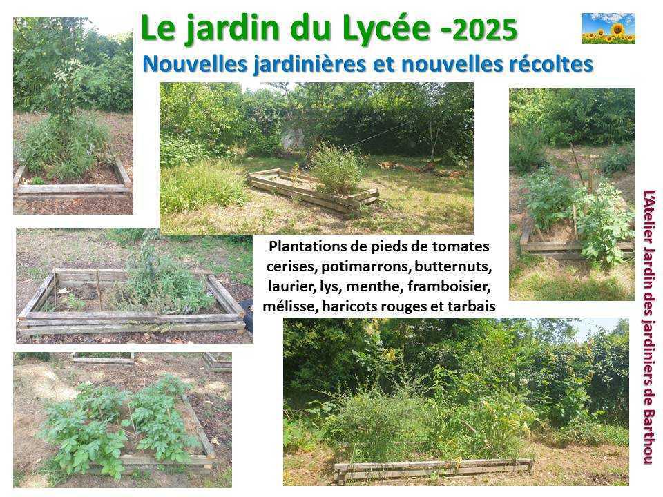Un petit tour au jardin du lycée en 2025 Un petit tour au jardin du lycée en 2025