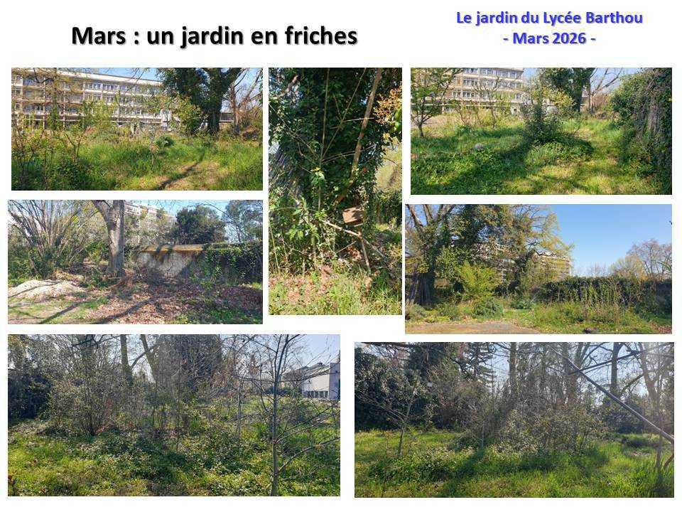 Un petit tour au jardin du lycée : de la poésie et du recyclage ...