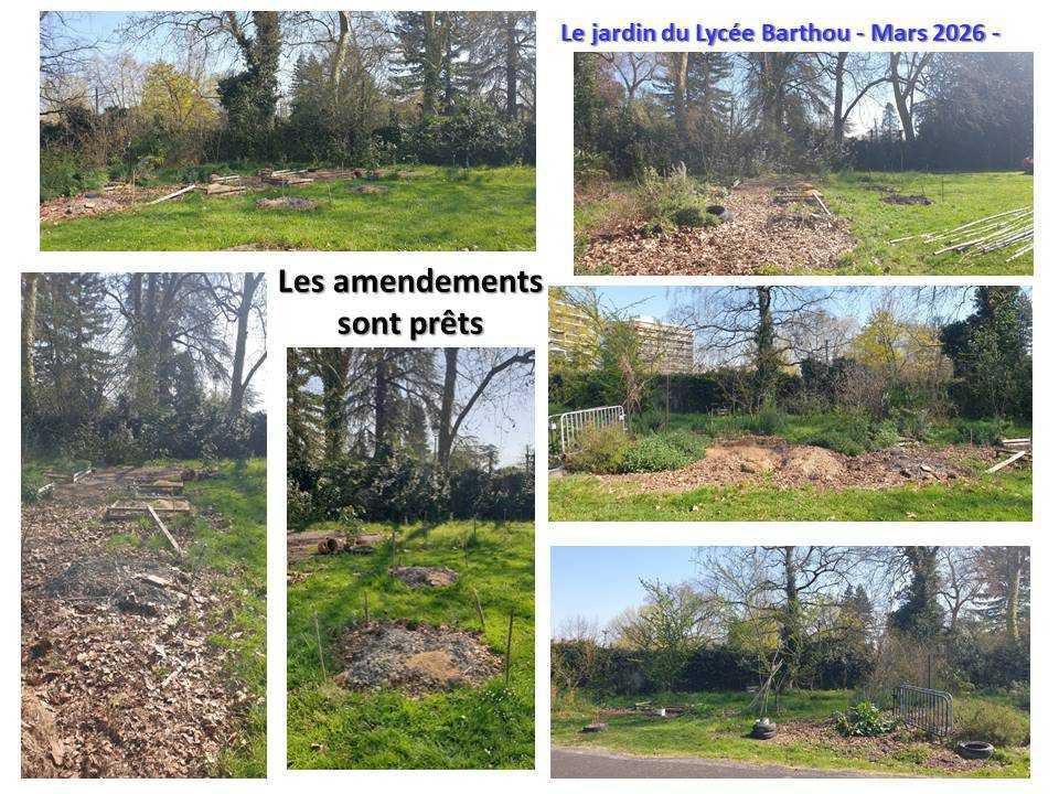 Un petit tour au jardin du lycée : de la poésie et du recyclage ...