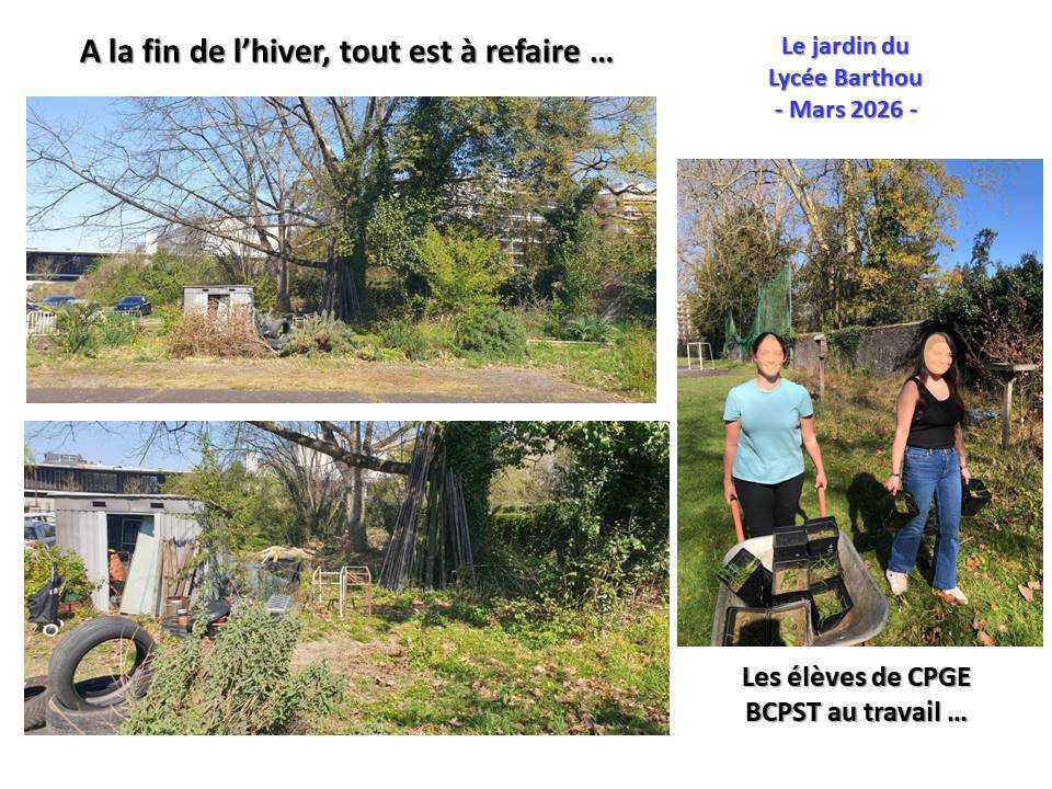 Un petit tour au jardin du lycée : de la poésie et du recyclage ... Un petit tour au jardin du lycée : de la poésie et du recyclage ...
