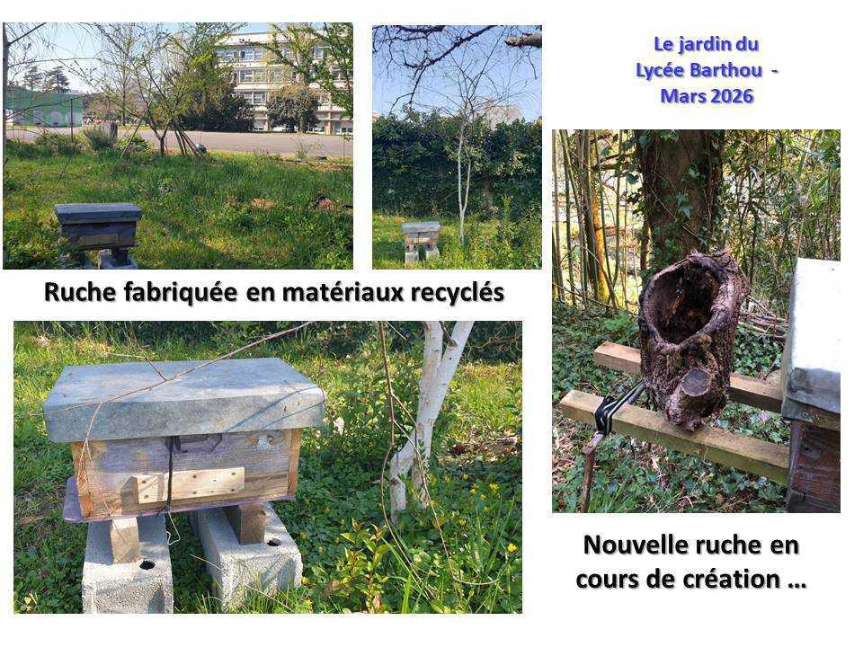 Un petit tour au jardin du lycée : de la poésie et du recyclage ...